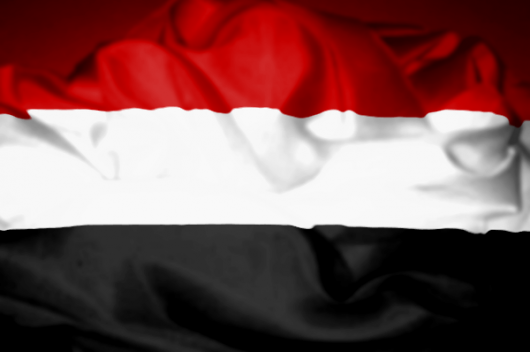 وزارة الصحة اليمنية تستعرض خسائر القطاع الصحي خلال أربعة أعوام من العدوان – موقع قناة المنار – لبنان