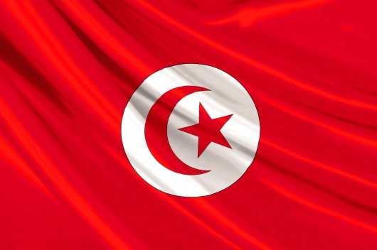 مجلس الوزراء التونسي: الاحتجاجات سلمية وأمن تونس هو الأهم – موقع قناة المنار – لبنان