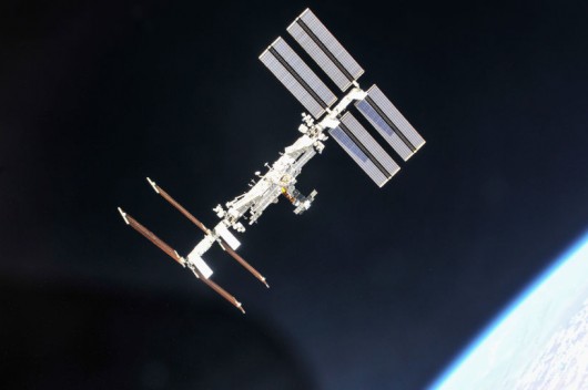 “ناسا” ترسل الديدان إلى الفضاء بهدف علمي – موقع قناة المنار – لبنان