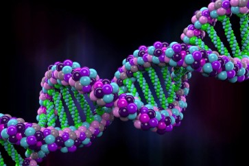 تخزين معلومات الحمض النووي ممكن لآلاف السنين