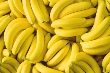 الموز مهدد بالاندثار