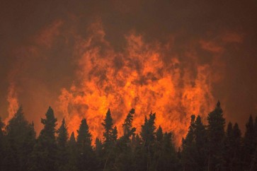 Flames from a wildfire approach trees on the edge of the airport in La Ronge, Saskatchewan July 5, 2015 in a picture provided by Saskatchewan Ministry of Environment contract pilot Corey Hardcastle. The Canadian military has been called in to help fight wildfires in the Western province of Saskatchewan, where 112 active fires have forced the evacuation of more than 13,000 people and threatened several remote towns on Monday. Picture taken July 5, 2015.  REUTERS/Corey Hardcastle/Handout via Reuters  FOR EDITORIAL USE ONLY. NOT FOR SALE FOR MARKETING OR ADVERTISING CAMPAIGNS. THIS IMAGE HAS BEEN SUPPLIED BY A THIRD PARTY. IT IS DISTRIBUTED AS A SERVICE TO CLIENTS