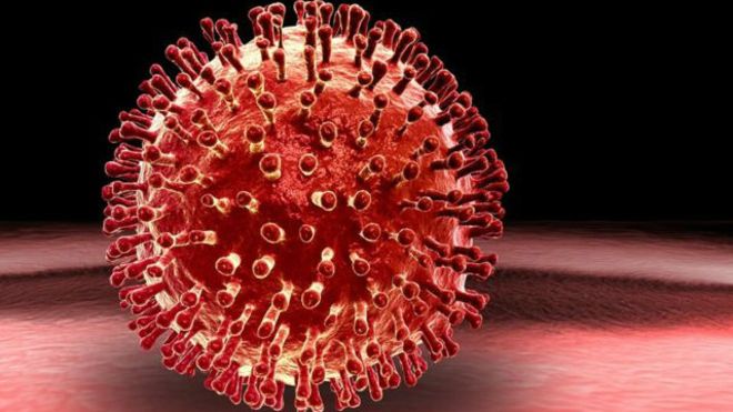 تعتمد الفيروسات على السيطرة على خلايا الجسم كي تنتشر.