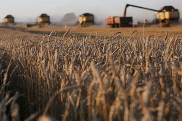 ارتفاع صادرات روسيا من القمح