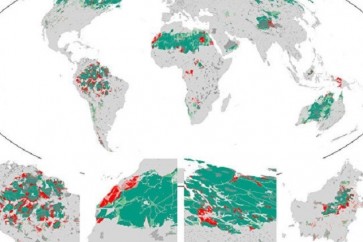 علماء: الأرض خسرت 10% من طبيعتها البرية
