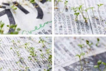 صحيفة يابانية تتحول إلى نباتات بعد قراءتها