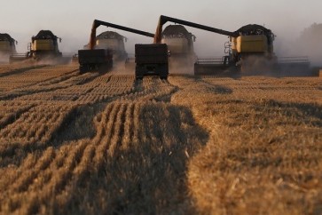 محصول الحبوب في روسيا يبلغ 112 مليون طن