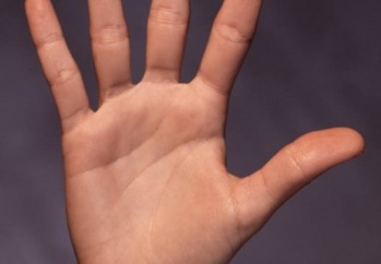 أخيراً اكتشف العلماء لماذا نملك 5 أصابع وليس 6؟؟