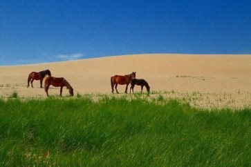 إنها روضة من رياضِ جَـنةٍ غيرِ معلومة