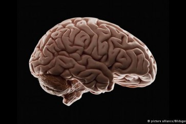 تؤدي إلى ضعف نمو المخ وفقدان مستويات من الذكاء عند الصغار والكبار