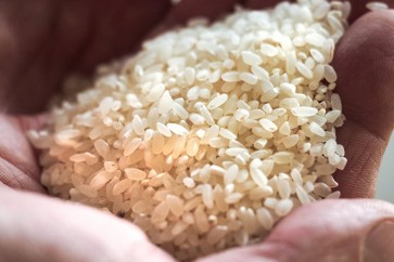 بعض المصانع الصينية قامت بتصنيع حبات الأرز بالكامل