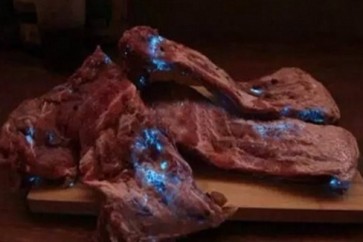قطعة لحم ملوثة تتوهج في الظلام