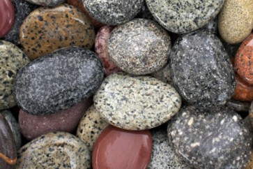 هل الصخور يمكنها أن تنمو؟
