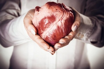 ليش ما نسمع كثير عن سرطان القلب ؟