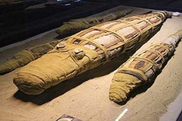 اكتشاف مومياء لتمساح عملاق في مصر