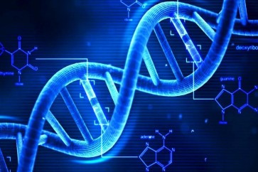أشرطة الحمض النووي