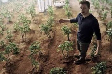 زرع البطاطا على المريخ... قد يصبح ممكنا!