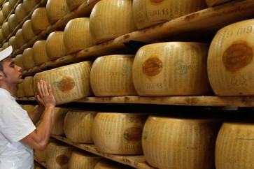 هذا الجبن الإيطالي التقليدي أنه يستغرق عامين قبل أن يصبح جاهزا للتسويق