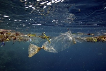 دراسة صادمة: 300 مليار قطعة بلاستيكية تسبح في المحيط المتجمد الشمالي