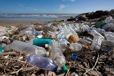 حشرة تلتهم البلاستيك تحيي آمال مكافحة تلوث المحيطات