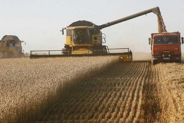 ارتفاع سعر القمح الروسي وسط صعود عالمي وتأخر المحصول