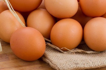 البيض مصدر جيد للمغذيات اللازمة للنمو عند الأطفال الصغار