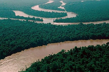 هل يختفي الأمازون ؟