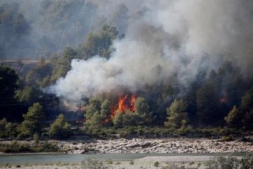 الحرائق تدمر 1400 هكتار من الغابات في جنوب فرنسا