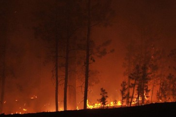 صقلية.. حرائق الغابات تجبر المئات على الفرار