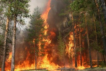 حرائق الغابات في سيبيريا