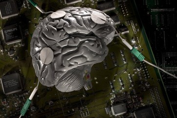 العلماء يتوصلون إلى طريقة لمحو ذكريات معينة توصل علماء أمريكيون إلى طريقة لمحو بعض الذكريات السلبية من الشبكة العصبية في الدماغ البشري. ويعد هذا الاكتشاف مهما جدا بالنسبة للولايات المتحدة، وخاصة للأشخاص الذين يعانون من متلازمة ما بعد الصدمة، حيث تنتشر بشكل كبير بين العسكريين. اقترحت مجموعة من الباحثين من جامعة "ريفرسايد" في كاليفورنيا، معالجة الخلايا العصبية مباشرة في الدماغ. وبسبب التحفيز الانتقائي لمناطق معينة، يتم تعطيل قنوات الاتصال المستقرة بين الخلايا المسؤولة عن تذكر ذكريات متنوعة. والهدف الرئيس من التكنولوجيا الجديدة هو مساعدة الأشخاص الذين يعانون من حالات مختلفة من التوترات والإكتئاب. كما تساعد أيضا المرضى الذين لا يستطيعون تجاهل الماضي بأنفسهم.