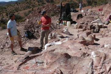 بقايا الديناصورات اكتشفت في الأرجنتين