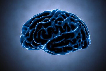 اكتشاف جديد في المخ...طريقة للتخلص من الذكريات