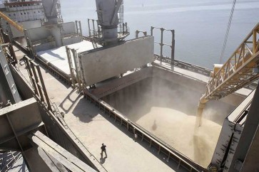 صادرات القمح الأوكرانية إلى الشرق الأوسط تقفز 46% في أربعة أشهر