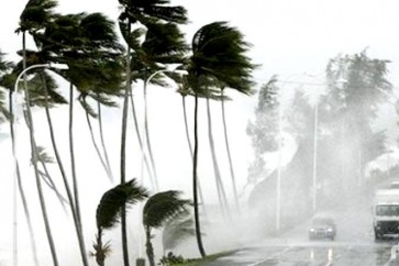 عاصفة تجتاج نورث أيلاند في نيوزيلندا وتقطع الكهرباء عن آلاف المنازل