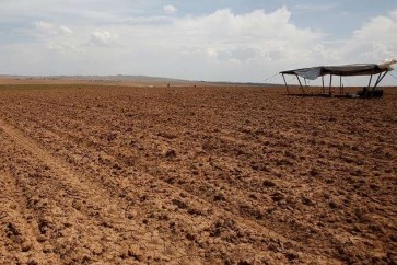 العراق يفقد نصف مساحاته الزراعية بسبب الجفاف