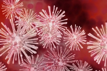 فيروس مميت جديد قد يقتل مليار شخص