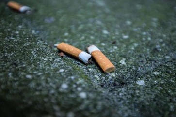 العلماء يحذرون من كارثة بيئية بسبب التدخين