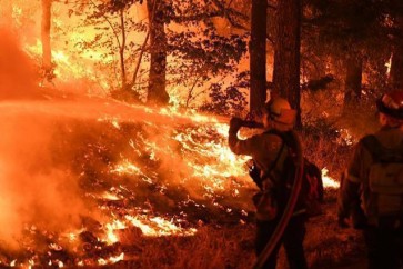 ارتفاع عدد قتلى حرائق غابات كاليفورنيا إلى 66 شخص
