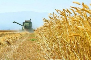ايران تتوقع انتاج 13.5 مليون طن من القمح