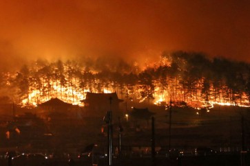 بدء جهود لاحتواء حرائق الغابات في كوريا الجنوبية وإجلاء الآلاف