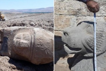 سرقة آثار في عفرين