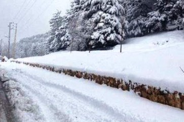 ثلوج لبنان موقع قناة المنار لبنان