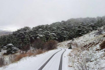 طريق عيناتا الارز
