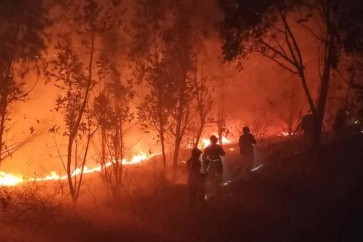 19 قتيلا في حريق غابات في الصين