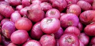 Onion1