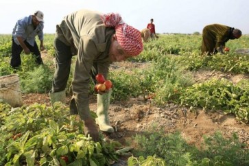 الزراعة في لبنان