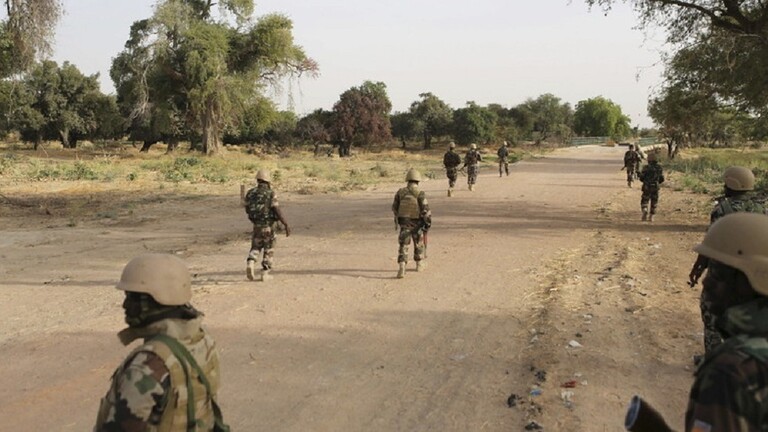 قوات النيجر