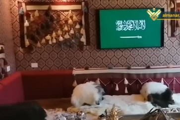 خيم