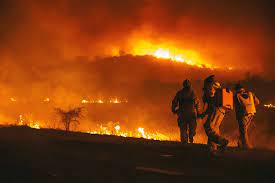 Forest Fires Argentine